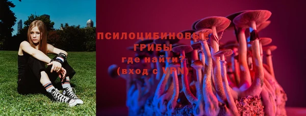 хмурый Балабаново