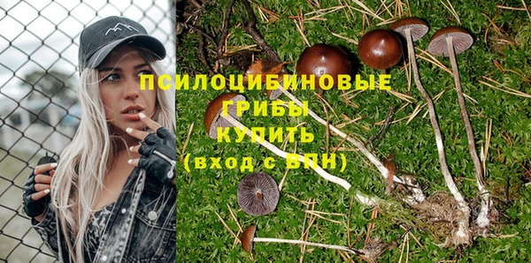 амф Баксан